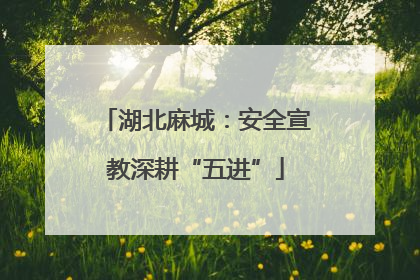 湖北麻城：安全宣教深耕“五进”