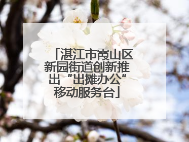 湛江市霞山区新园街道创新推出“出摊办公”移动服务台