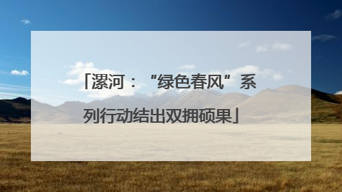 漯河：“绿色春风”系列行动结出双拥硕果