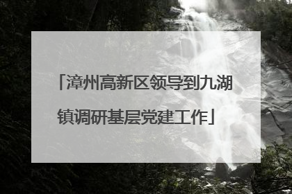 漳州高新区领导到九湖镇调研基层党建工作
