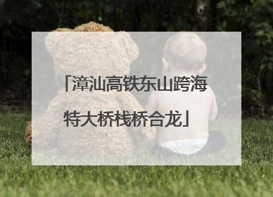 漳汕高铁东山跨海特大桥栈桥合龙