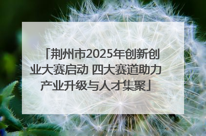 荆州市2025年创新创业大赛启动 四大赛道助力产业升级与人才集聚