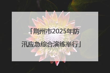 荆州市2025年防汛应急综合演练举行