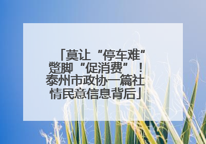 莫让“停车难”蹩脚“促消费”！泰州市政协一篇社情民意信息背后