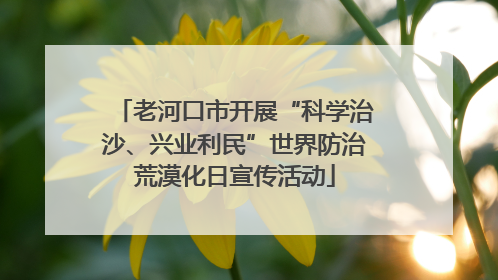 老河口市开展“科学治沙、兴业利民”世界防治荒漠化日宣传活动