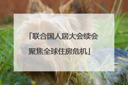 联合国人居大会续会聚焦全球住房危机
