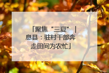 聚焦“三夏”｜息县：驻村干部奔走田间为农忙