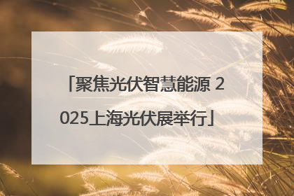 聚焦光伏智慧能源 2025上海光伏展举行