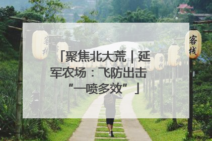 聚焦北大荒｜延军农场：飞防出击 “一喷多效”