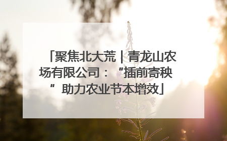 聚焦北大荒｜青龙山农场有限公司：“插前寄秧”助力农业节本增效