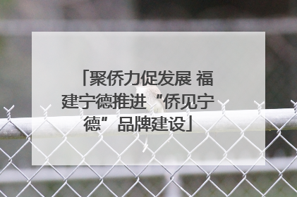 聚侨力促发展 福建宁德推进“侨见宁德”品牌建设