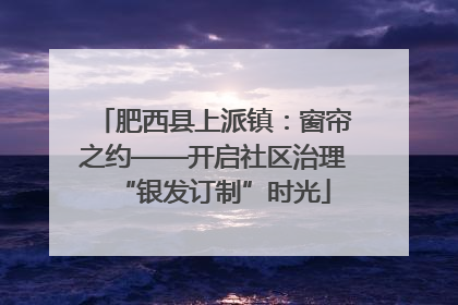 肥西县上派镇：窗帘之约——开启社区治理“银发订制”时光
