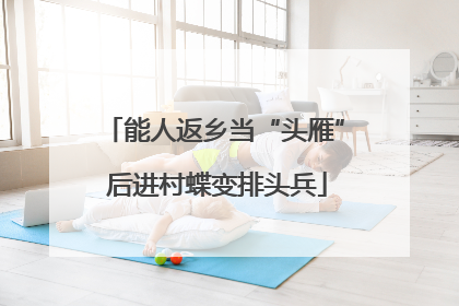 能人返乡当“头雁” 后进村蝶变排头兵