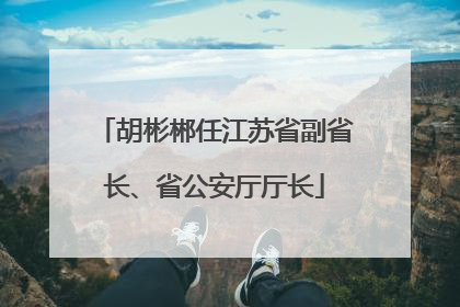 胡彬郴任江苏省副省长、省公安厅厅长