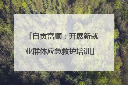 自贡富顺：开展新就业群体应急救护培训
