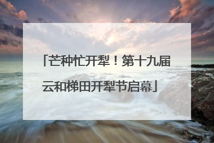 芒种忙开犁！第十九届云和梯田开犁节启幕