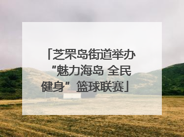 芝罘岛街道举办“魅力海岛 全民健身”篮球联赛