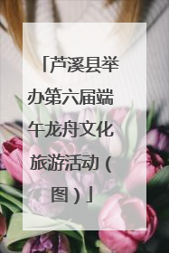芦溪县举办第六届端午龙舟文化旅游活动（图）