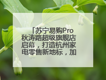 苏宁易购Pro秋涛路超级旗舰店启幕，打造杭州家电零售新地标，加速“大店攻略”全省布局