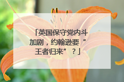 英国保守党内斗加剧，约翰逊要“王者归来”？