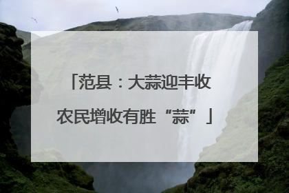范县：大蒜迎丰收 农民增收有胜“蒜”