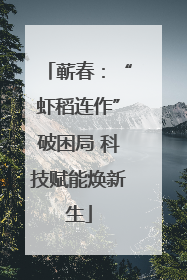 蕲春：“虾稻连作”破困局 科技赋能焕新生