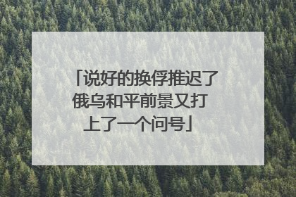 说好的换俘推迟了 俄乌和平前景又打上了一个问号