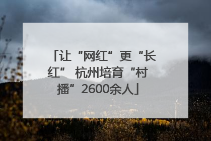 让“网红”更“长红” 杭州培育“村播”2600余人