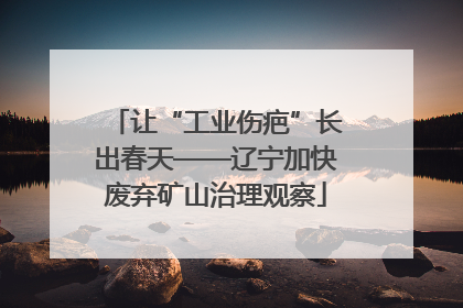 让“工业伤疤”长出春天——辽宁加快废弃矿山治理观察