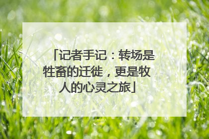 记者手记：转场是牲畜的迁徙，更是牧人的心灵之旅