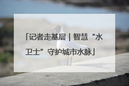 记者走基层｜智慧“水卫士”守护城市水脉