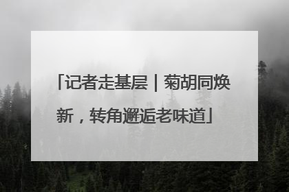 记者走基层｜菊胡同焕新，转角邂逅老味道