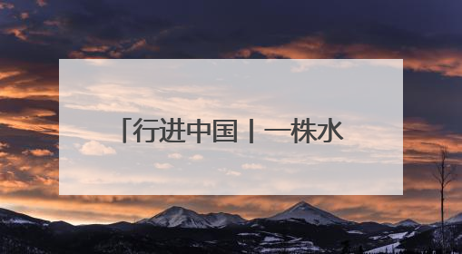 行进中国丨一株水草的“点金术”