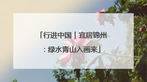 行进中国｜宜居锦州：绿水青山入画来