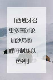 西班牙召集多国讨论加沙局势 呼吁制裁以色列