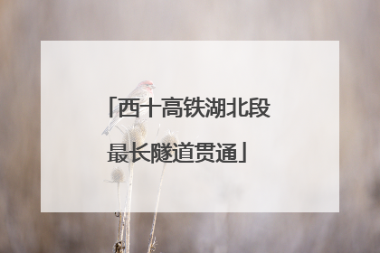 西十高铁湖北段最长隧道贯通