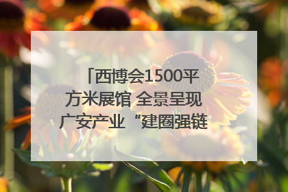 西博会1500平方米展馆 全景呈现广安产业“建圈强链”｜西博视界