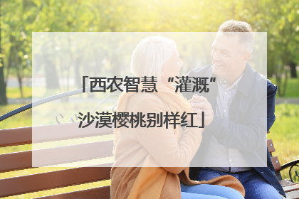 西农智慧“灌溉” 沙漠樱桃别样红