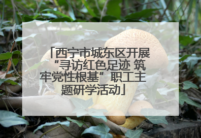 西宁市城东区开展“寻访红色足迹 筑牢党性根基”职工主题研学活动