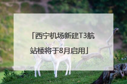 西宁机场新建T3航站楼将于8月启用