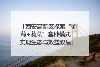 西安高新区探索“葡萄+蔬菜”套种模式 实现生态与效益双赢