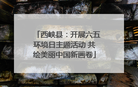 西峡县：开展六五环境日主题活动 共绘美丽中国新画卷
