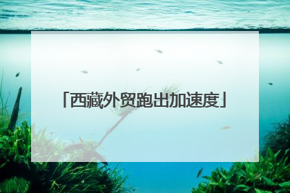 西藏外贸跑出加速度