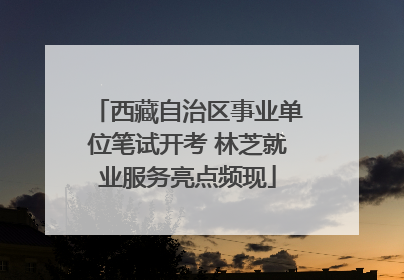 西藏自治区事业单位笔试开考 林芝就业服务亮点频现