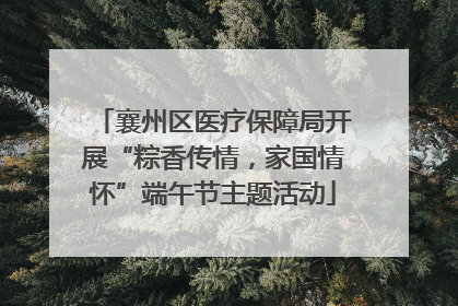 襄州区医疗保障局开展“粽香传情，家国情怀”端午节主题活动