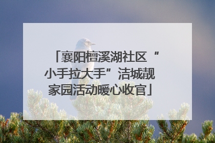 襄阳檀溪湖社区“小手拉大手”洁城靓家园活动暖心收官