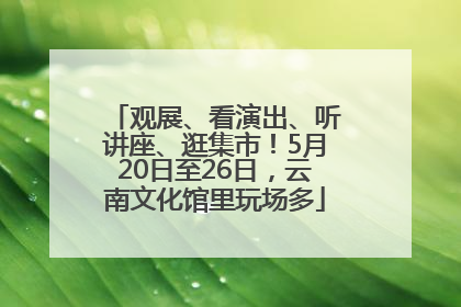 观展、看演出、听讲座、逛集市！5月20日至26日，云南文化馆里玩场多
