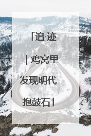 追·迹｜鸡窝里发现明代抱鼓石