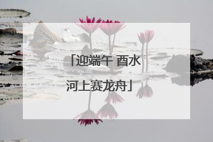 迎端午 酉水河上赛龙舟