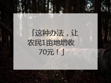 这种办法，让农民1亩地增收70元！